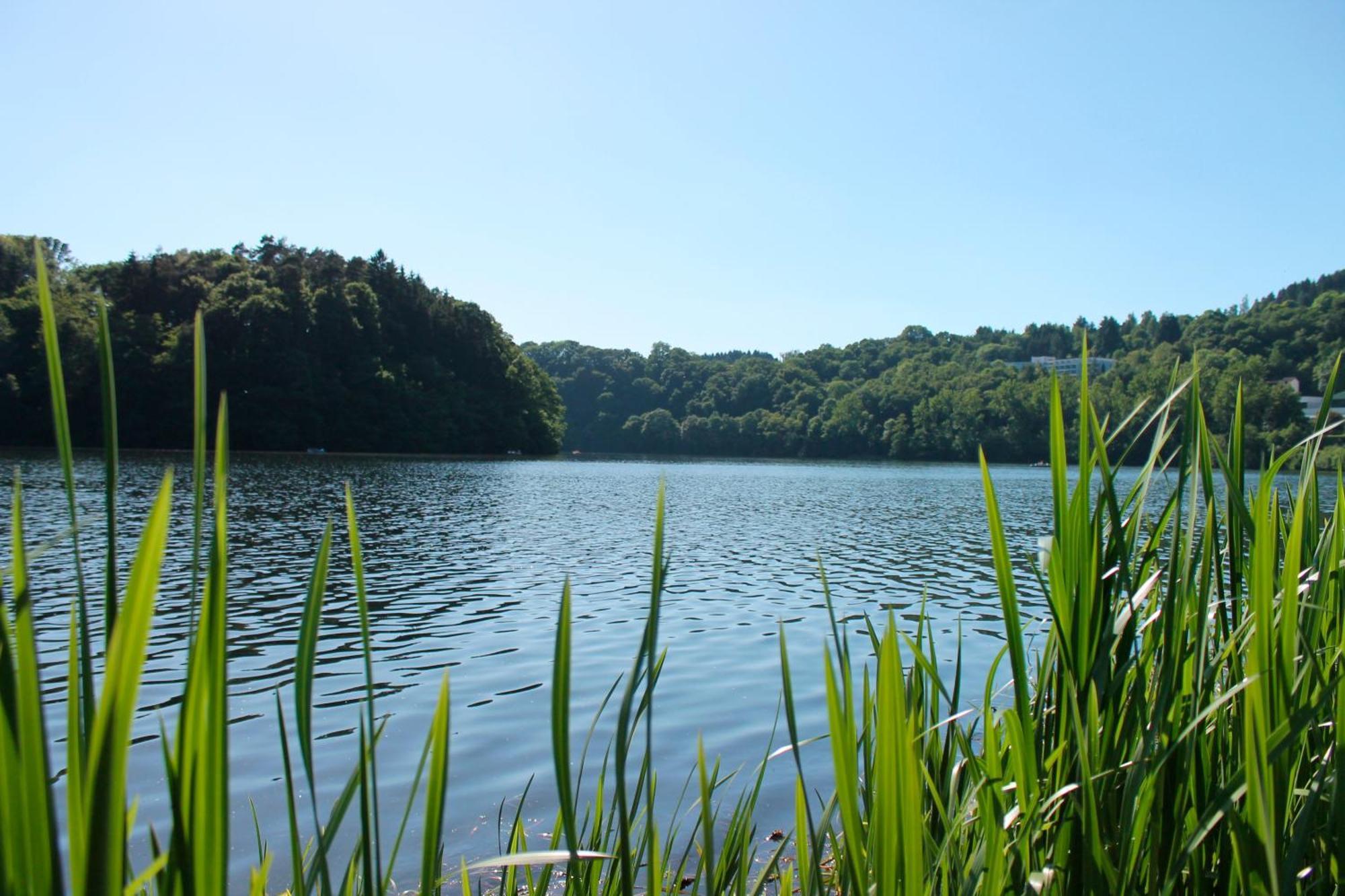 Landhaus Seeblick Bitburg Exteriör bild